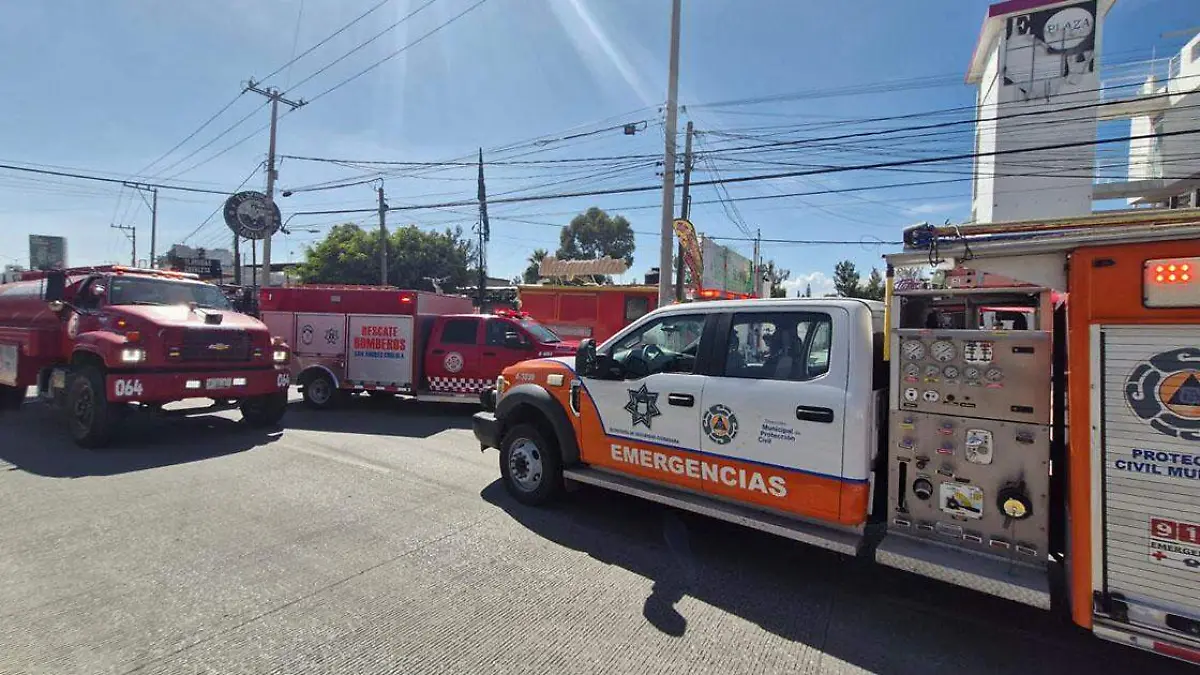 El incendio de un pino de ocho metros de altura al interior de un inmueble en la Calzada Zavaleta generó una movilización